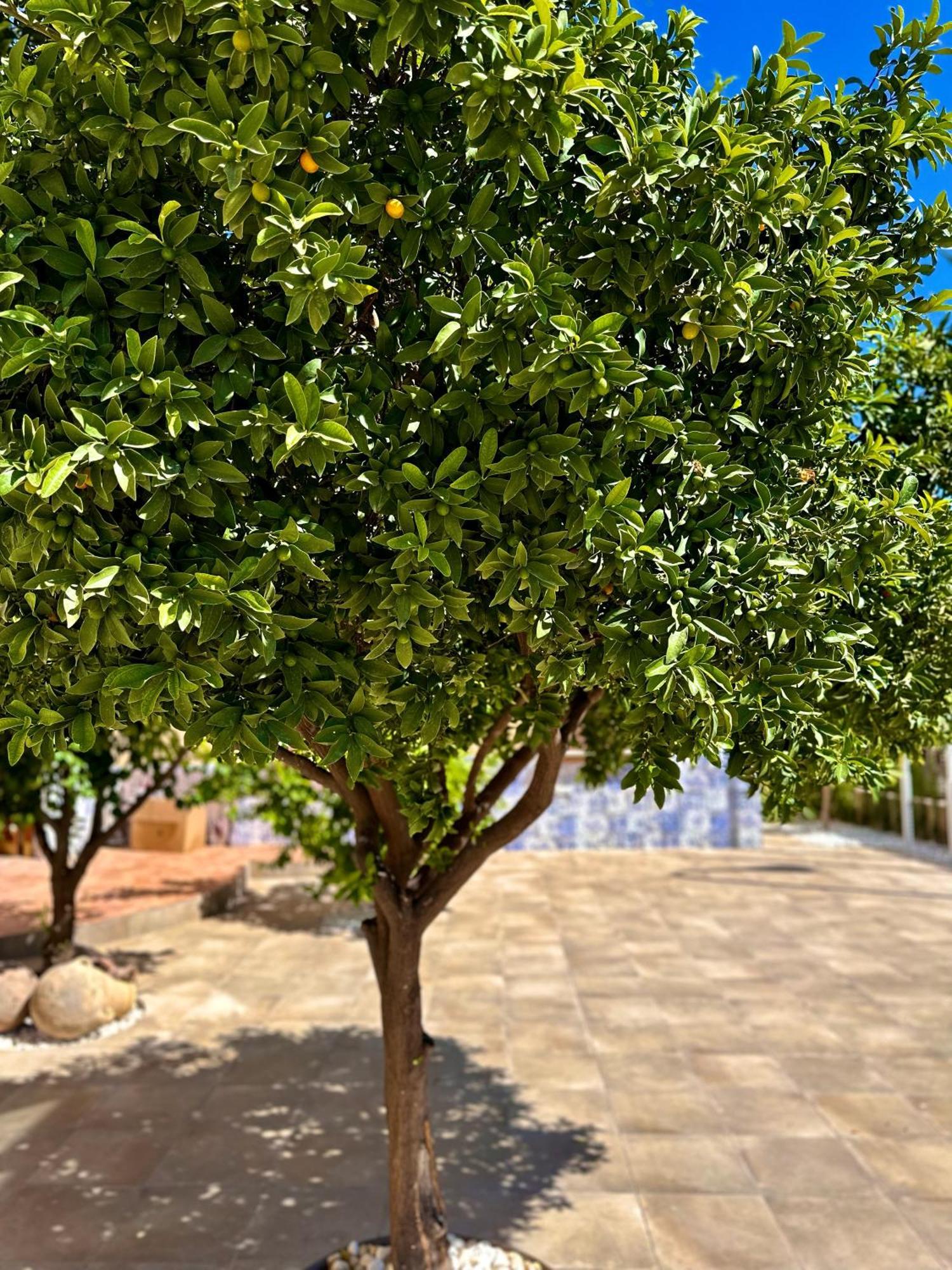 Apartmán Libelle Granada Exteriér fotografie
