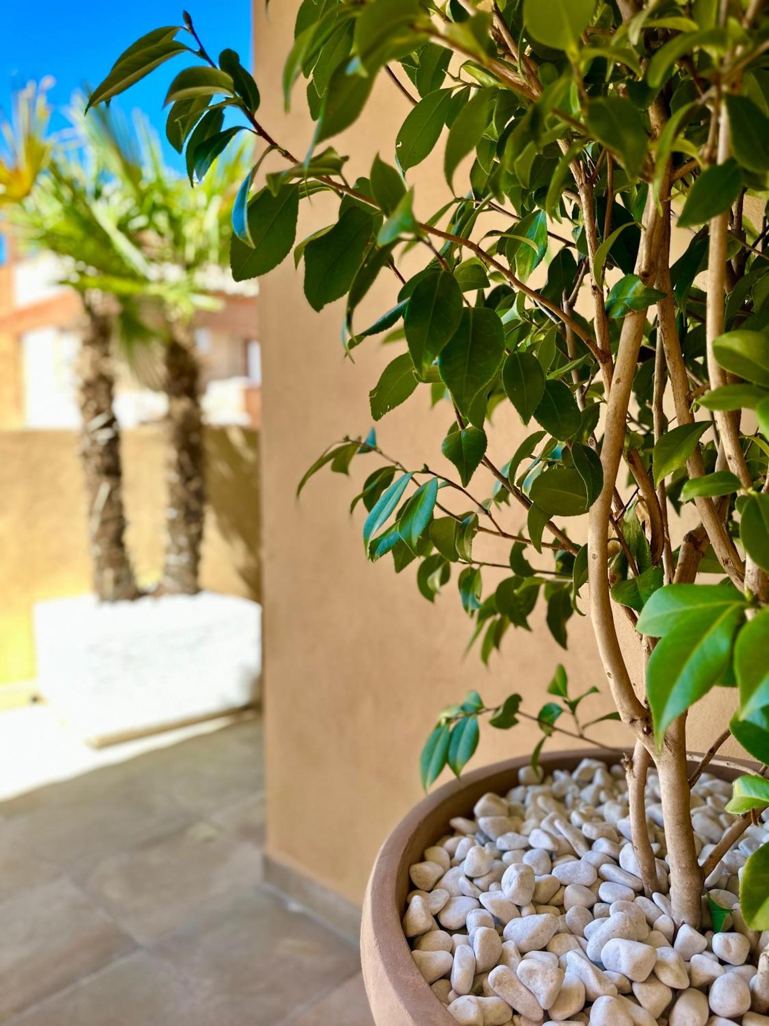 Apartmán Libelle Granada Exteriér fotografie